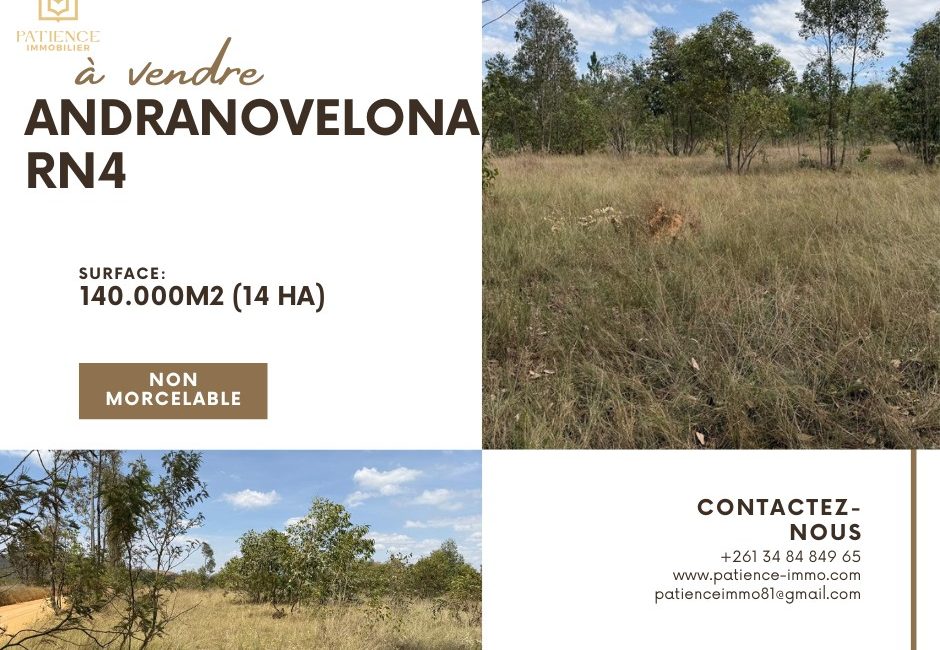 OPPORTUNITÉ UNIQUE à Andranovelona