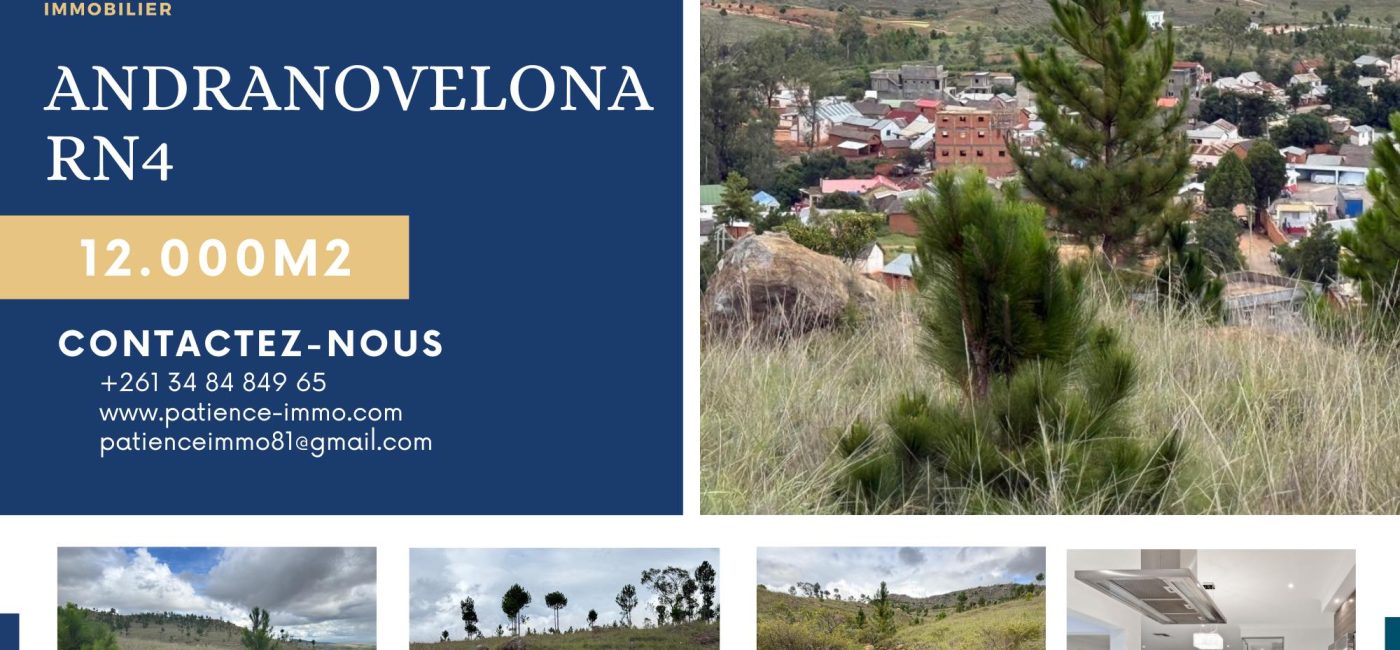 ANDRANOVELONA RN4